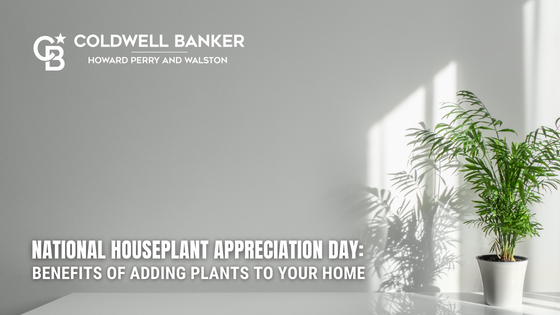Raleigh Houseplants